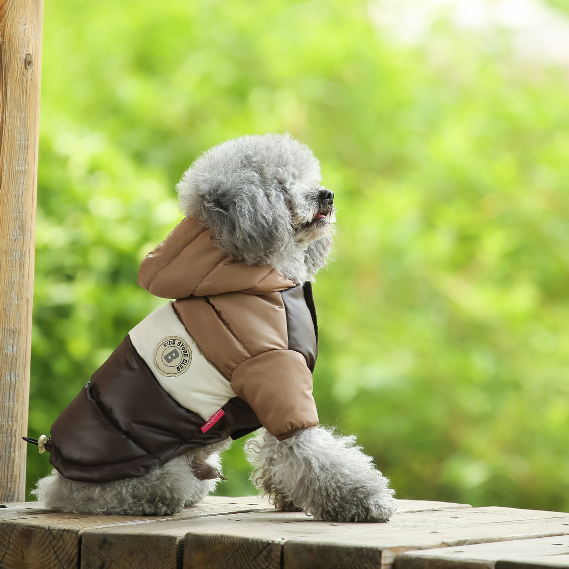 เสื้อกั๊กสัตว์เลี้ยง อุปกรณ์สั - Winter Clothing Options บทวิจารณ์และราคา